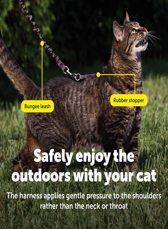 بيت سيف حزام ومقود مطاطي للقطط من بيت سيف، كبير، أسود - Image 4